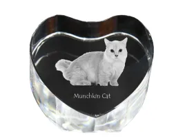 kot-munchkin-zdjecie-kota-w-krysztale-krysztalowe-serce-wyjatkowa-ramka