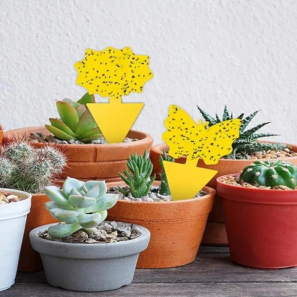 lep-przeciwko-komarom-3m-rodzaj-lep