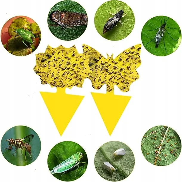 lep-przeciwko-komarom-3m-stan-opakowania-oryginalne