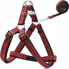 szelki-dla-psa-bordowe-ze-smycza-do-spacerow-i-szkolenia-120cm-r-m