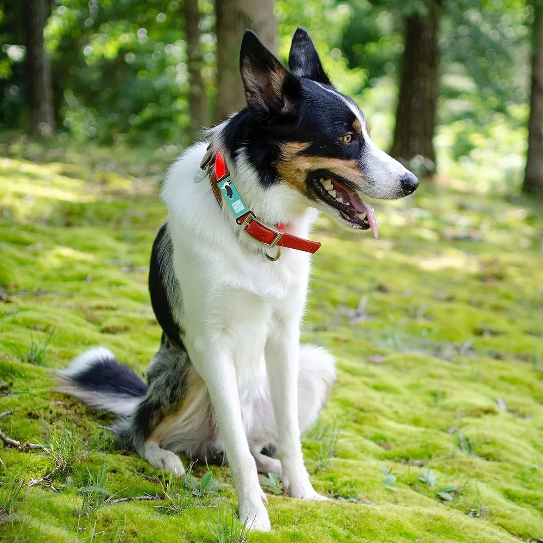 identyfikator-prostokatny-ce-zielony-stan-nowy