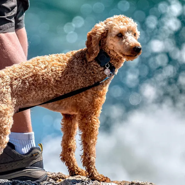 identyfikator-prostokatny-ce-zielony-stan-nowy-kolor-zielony