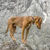 identyfikator-prostokatny-ce-zielony-stan-nowy-rodzaj-z-grawerem