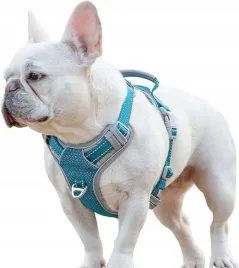 szelki-dla-duzych-psow-odblaskowe-regulowane-niebieskie-rozmiar-l