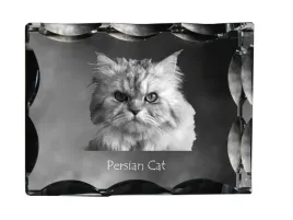 perski-krysztal-ze-zdjeciem-kota-szklana-statuetka-ze-zdjeciem-wyjatkow