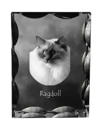 ragdoll-krysztal-ze-zdjeciem-kota-szklana-statuetka-ze-zdjeciem-wyjatko