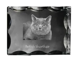 brytyjski-krotkowlosy-krysztal-ze-zdjeciem-kota-szklana-statuetka-ze-zdj