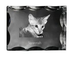 savannah-krysztal-ze-zdjeciem-kota-szklana-statuetka-ze-zdjeciem-wyjatk