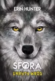 sfora-tom-2-ukryty-wrog