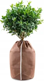 geowloknina-kaptury-ochronne-brazowy-50-x-80-cm-100-g-m