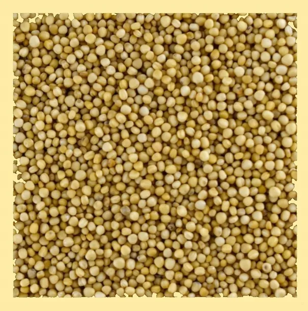 gorczyca-biala-eko-200g-mr-cook-rodzaj-gorczyca