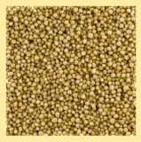 gorczyca-biala-eko-200g-mr-cook-rodzaj-gorczyca