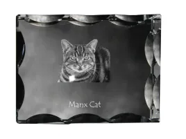manx-krysztal-ze-zdjeciem-kota-szklana-statuetka-ze-zdjeciem-wyjatkowa