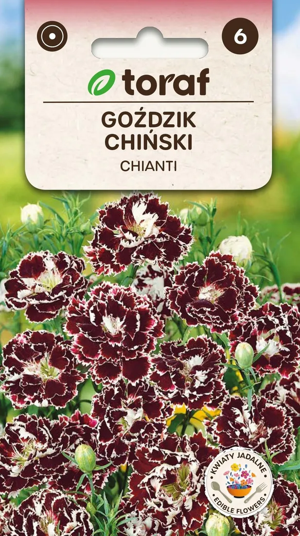 gozdzik-chinski-chianti-01g-toraf