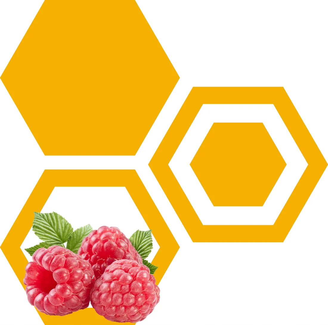 propolis-kit-pszczeli-100g