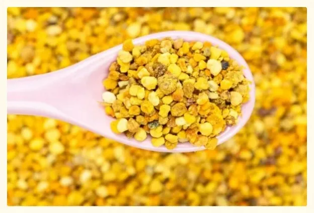 pylek-pszczeli-500g-rodzaj-pylek-pszczeli