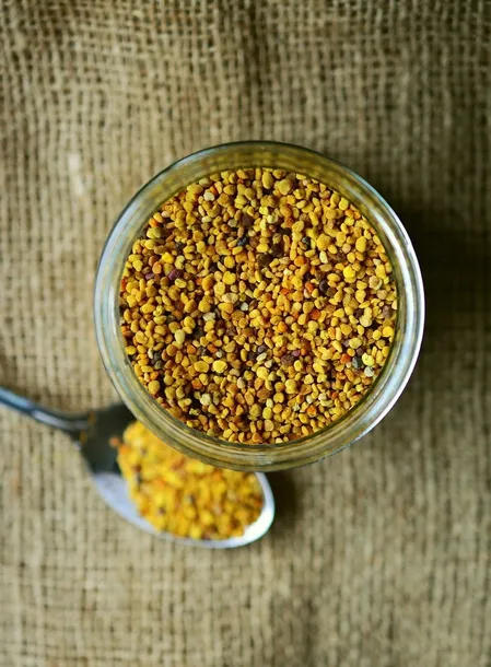 pylek-pszczeli-500g-opakowanie-zgrzewany-worek