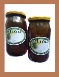 miod-spadziowy-lisciasty-1100g-z-polski