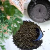 herbata-milk-oolong-premium-50g-super-quality-flavo-forma-lisciasta-stan-nowy