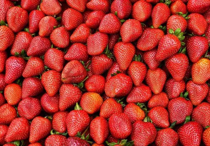 witamina-c-kwas-l-askorbinowy-500g-targroch-fit-postac-proszek-podstawowy-skladnik-witamina-c