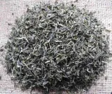 herbata-biala-fujian-white-50g-flavo-forma-lisciasta-marka-bio-flavo