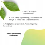herbata-biala-fujian-white-100g-flavo-marka-bio-flavo-forma-lisciasta