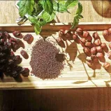 babka-plesznik-ziarno-500g-targroch-cechy-dodatkowe-bez-konserwantow-chronic-przed-swiatlem-czysty-bez-dodatkow-weganski-wegetarianski