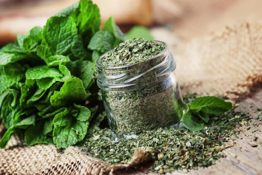 mieta-pieprzowa-500g