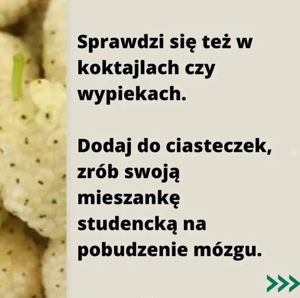 morwa-biala-suszona-500g-targroch-kod-producenta-5903229000880