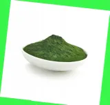 chlorella-w-proszku-250g-targroch-rodzaj-chlorella