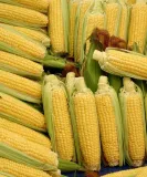 popcorn-ziarno-1kg-makar-kod-producenta-ziarno-do-prazenia-1000-g-popcorn-makar