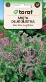 mieta-dlugolistna-01g-toraf