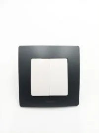 legrand-396490-nl-podwojny-przelacznik-monoblokowy