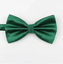 mucha-muszka-meska-zielona-gladka