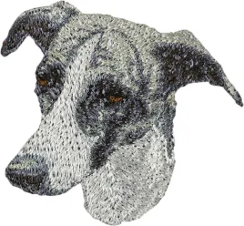 greyhound-chart-angielski-naszywka-w-ksztalcie-psa-haftowana-latka-uni