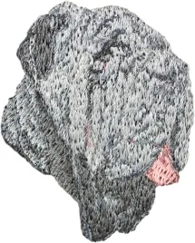 mastif-neapolitanski-neapolitan-mastiff-mastino-napoletano-naszywka-w-k