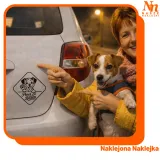 naklejka-na-samochod-pies-dalmatynczyk-paws-on-board-stan-opakowania-oryginalne