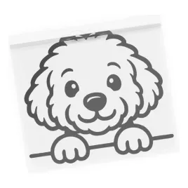 naklejka-na-samochod-pies-w-aucie-bichon-frise-pupil