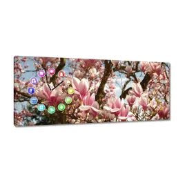 zegary-100x40-magnolie-kwiaty-blekit