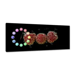 zegary-100x40-maliny-w-wodzie