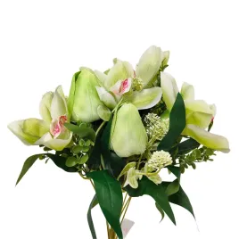 bukiet-tulipan-storczyk-x12-zielony-sp