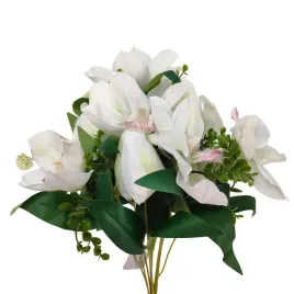 bukiet-tulipan-storczyk-x12-kremowy-sp