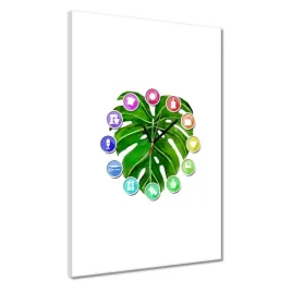 zegary-40x60-lisc-monsery-dziurawej