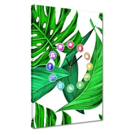 zegary-40x60-soczysta-monstera-tropiki