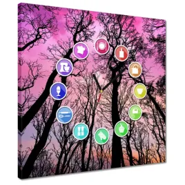 zegary-40x40-las-drzewa-widok-z-dolu