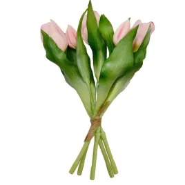 tulipan-gumowany-wiazka-x5-jasny-roz-sp