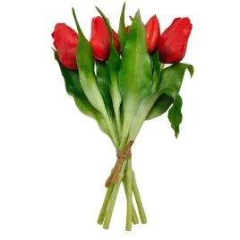 tulipan-gumowany-wiazka-x5-czerwony-sp