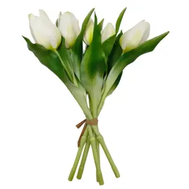 tulipan-gumowany-wiazka-x5-kremowy-sp