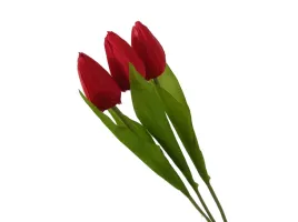 zestaw-3-sztuki-czerwone-tulipany-wiosenny-czerwony-tulipan