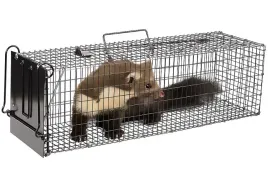 zywolapka-na-gryzonie-60x18x18-cm-hunter